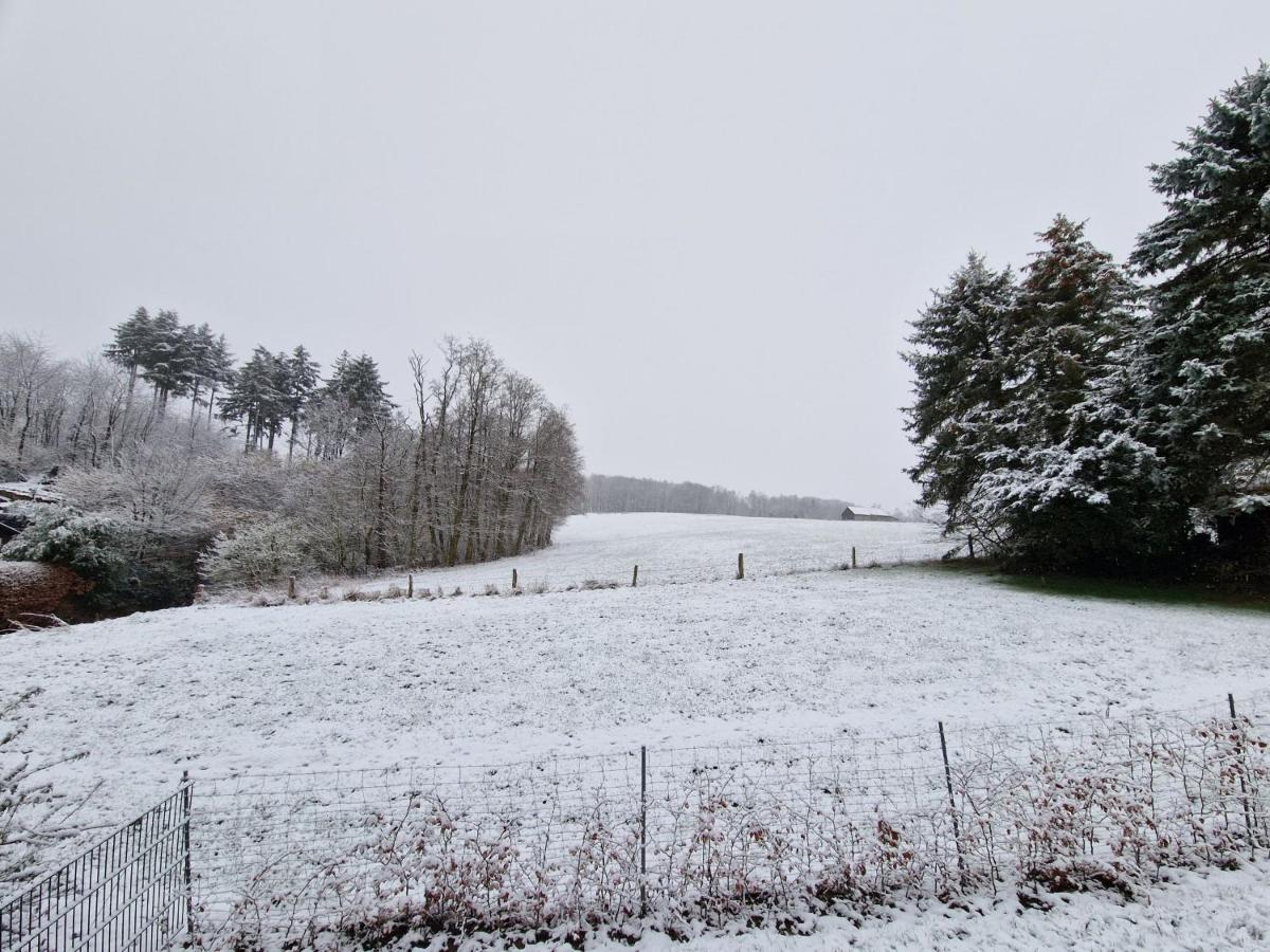 Ferienwohnung Arnsberger Wald Möhnesee Eksteriør billede